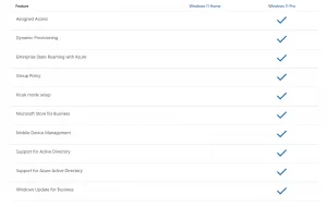 Windows 11 Pro vs 11 Home